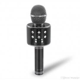 Микрофон-колонка Q858 Bluetooth+FM+SD micro+USB+AUX, черная