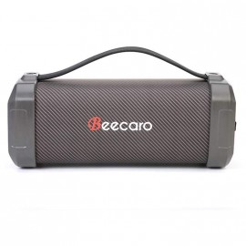 Портативная акустика Beecaro F62D цвет: чёрный, в техпаке*