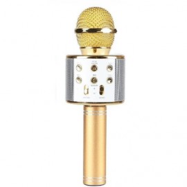 Колонка-микрофон (WS-858ch) Bluetooth/USB/micro SD/караоке (золото)