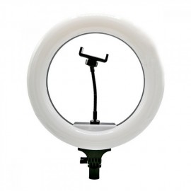 Кольцевая лампа WALKER WLR-3010, 30 см, белый свет